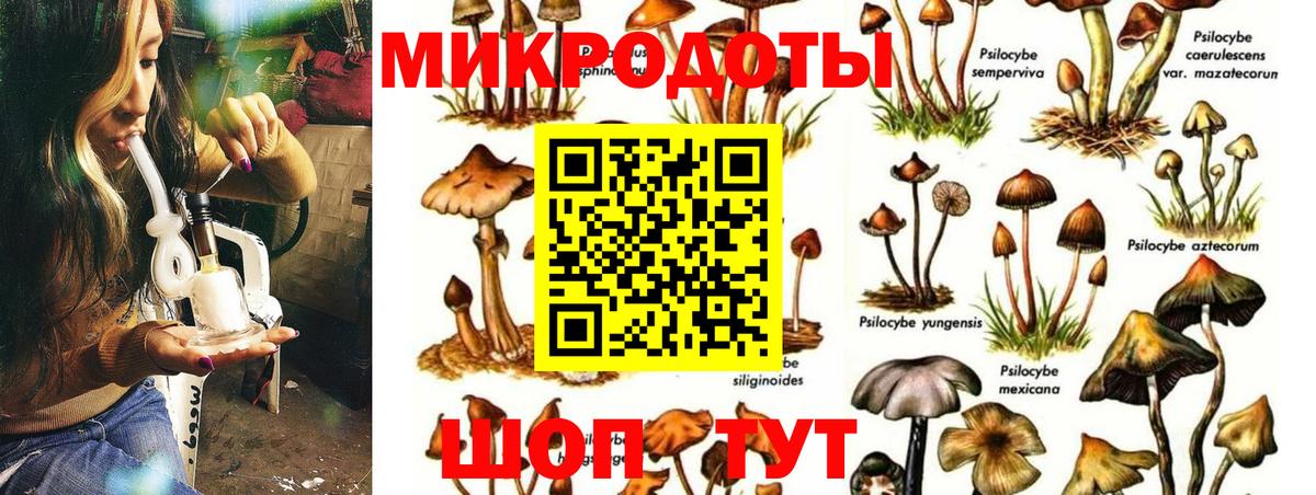 Галлюциногенные грибы прущие грибы Гусиноозёрск