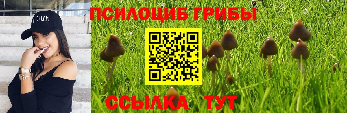 Гусиноозёрск  Галлюциногенные грибы мицелий  Вход с VPN  Псилоцибиновые грибы прущие грибы 