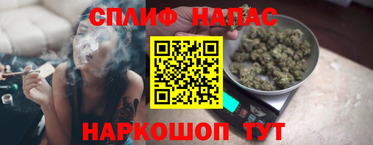 Каннабис сатива Гусиноозёрск